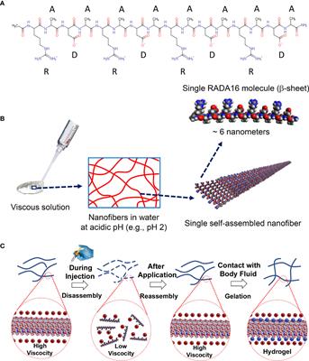 Comparison of PuraStat self-assembling peptide hydrogel versus mineral-based Hemospray for endoscopic hemostasis of upper and lower gastrointestinal lesions in pigs